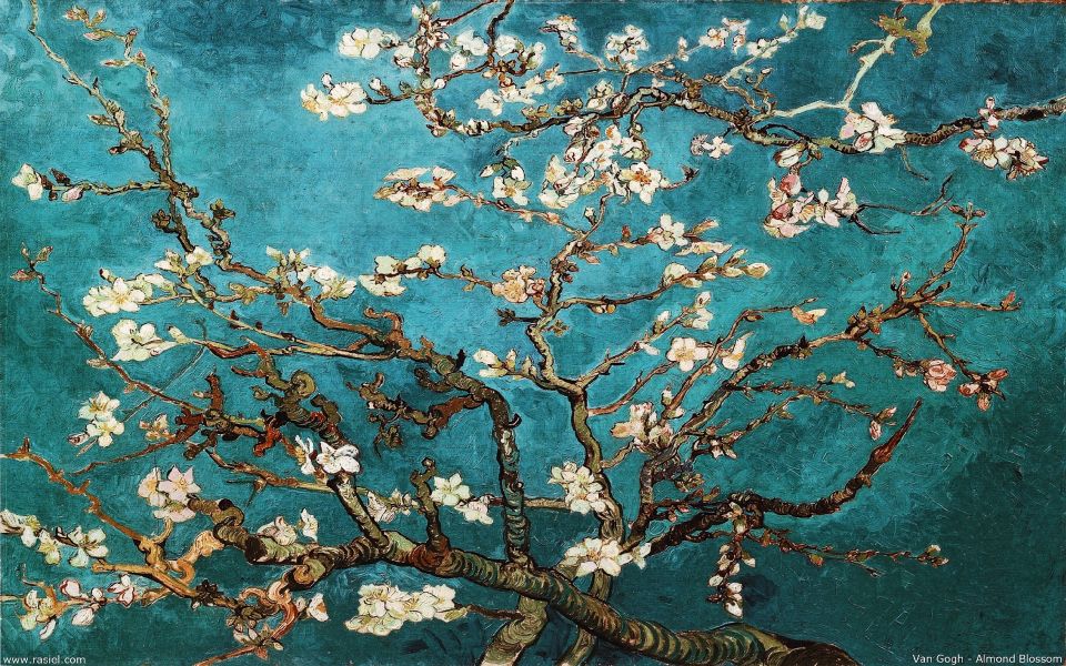 Museo Van Gogh e Rijksmuseum